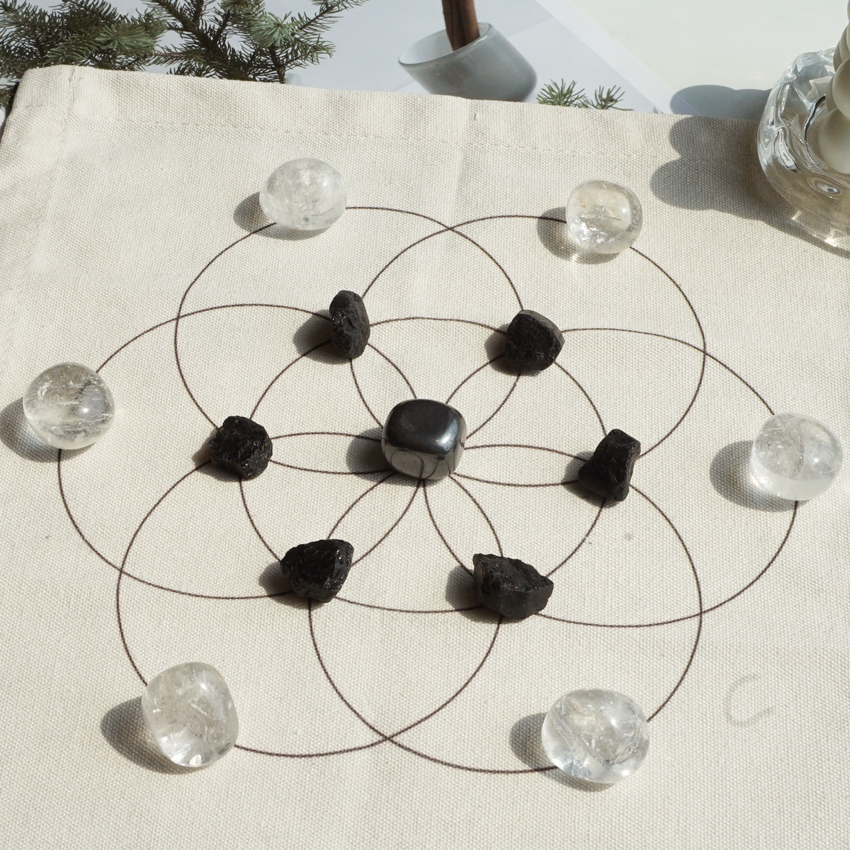 Guardian Light Grid - Black & Silver Shield